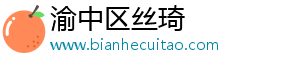 渝中区丝琦