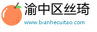 渝中区丝琦